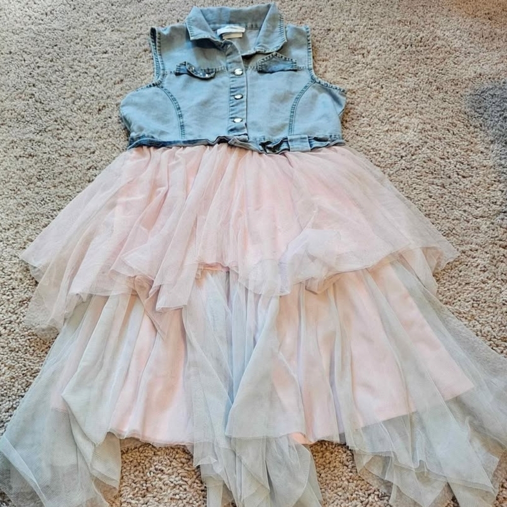 Denim and Pink Tulle Dress